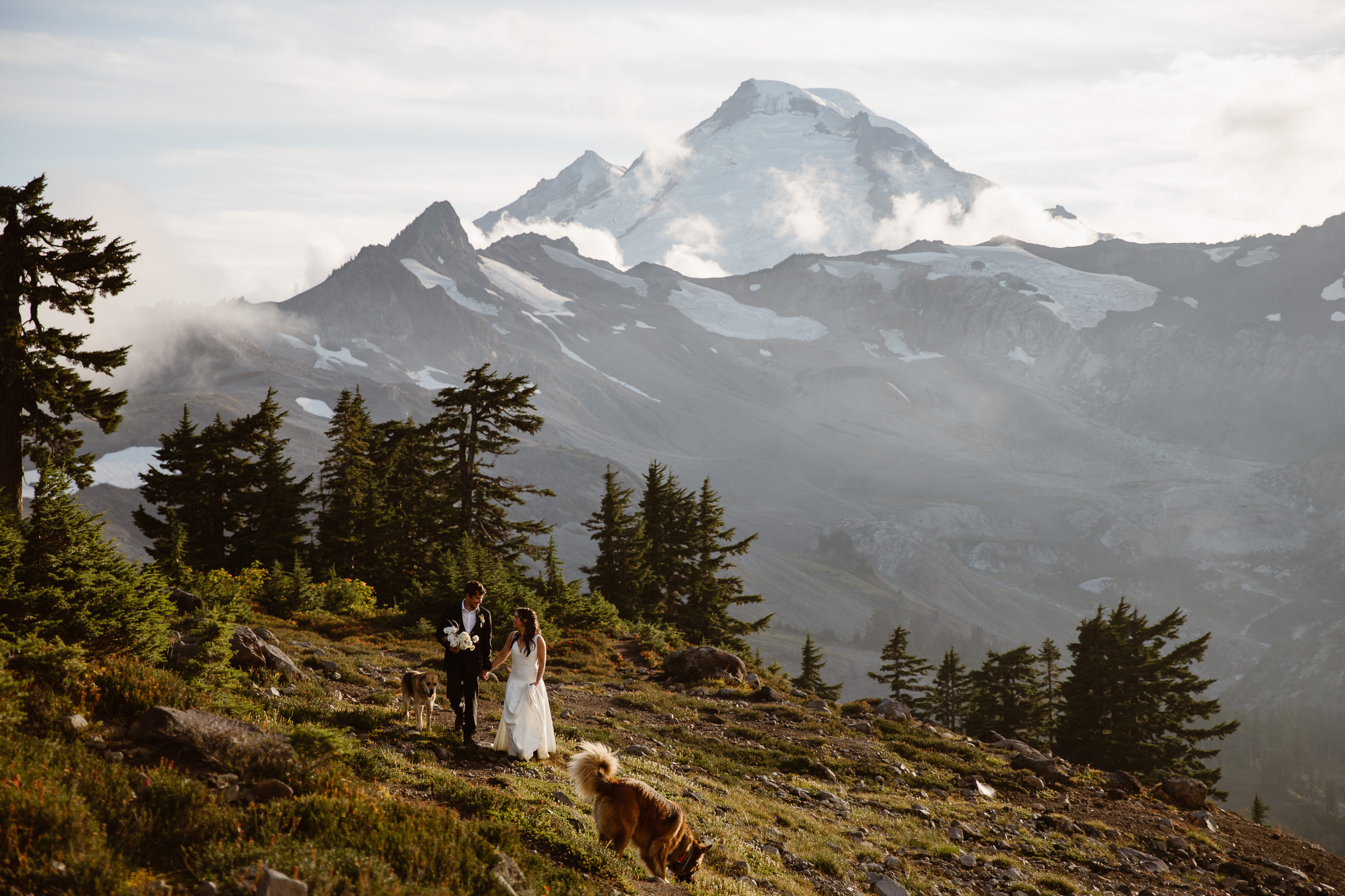 a bride and groom and their two dogs walk along a trail with mount baker behind them during their north cascades elopement