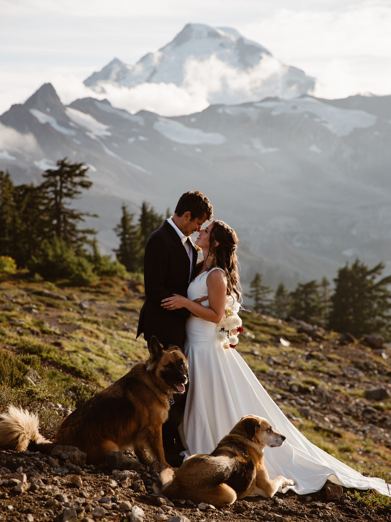 a bride and groom embrace as their two dogs sit next to them with mount baker in the background during their north cascades elopement