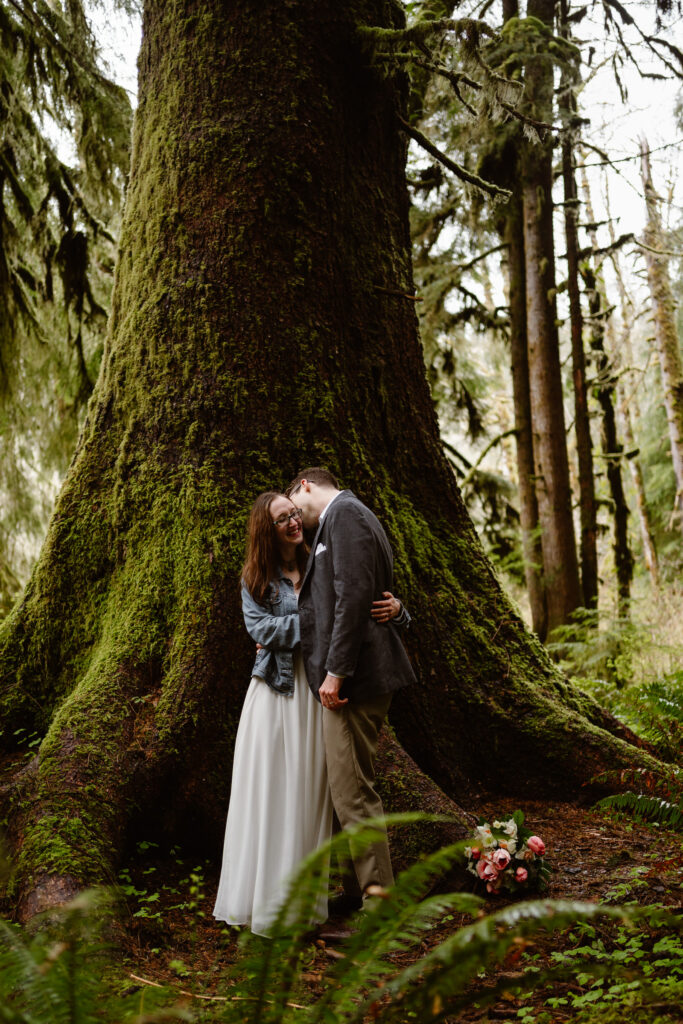 a bride and groom embrace in front of an old growth sequoia during their elopement in the olympic national forest