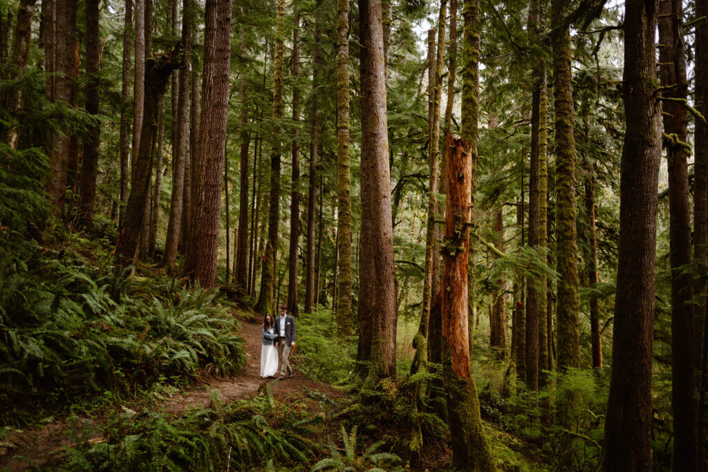 a bride and groom explore a forested trail during their olympic national forest elopement