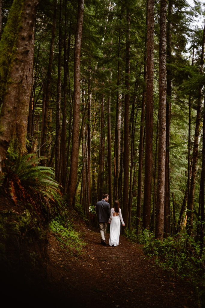 a bride and groom explore the old growth forest of the olympic peninsula during their elopement