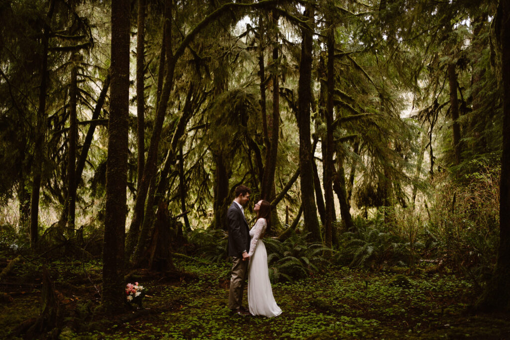 A bride and groom embrace in a grove of trees during their Olympic Peninsula Elopement