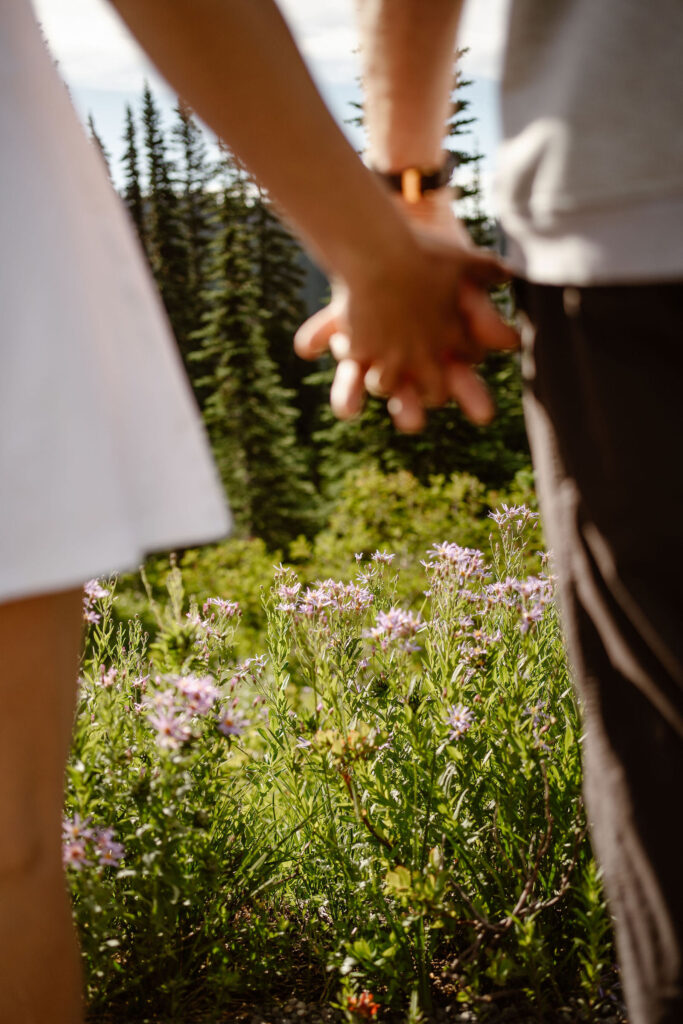 wildflowers at mt. rainier with a couple holding hands