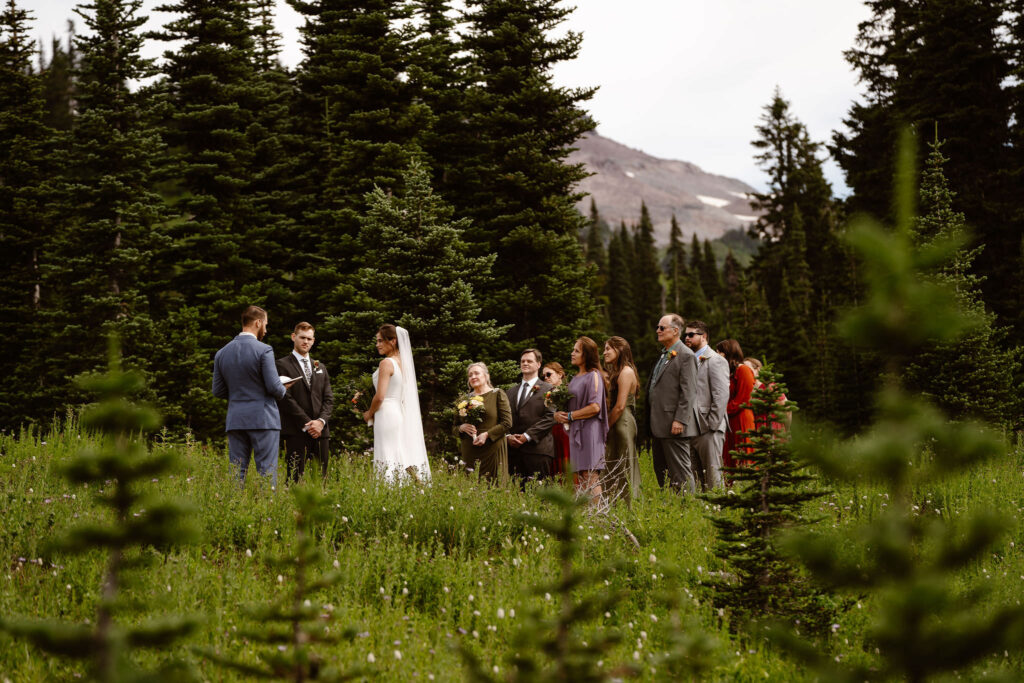 a bride, groom, officiant, and their families stand on trail in the paradise meadows during their mt rainier micro wedding